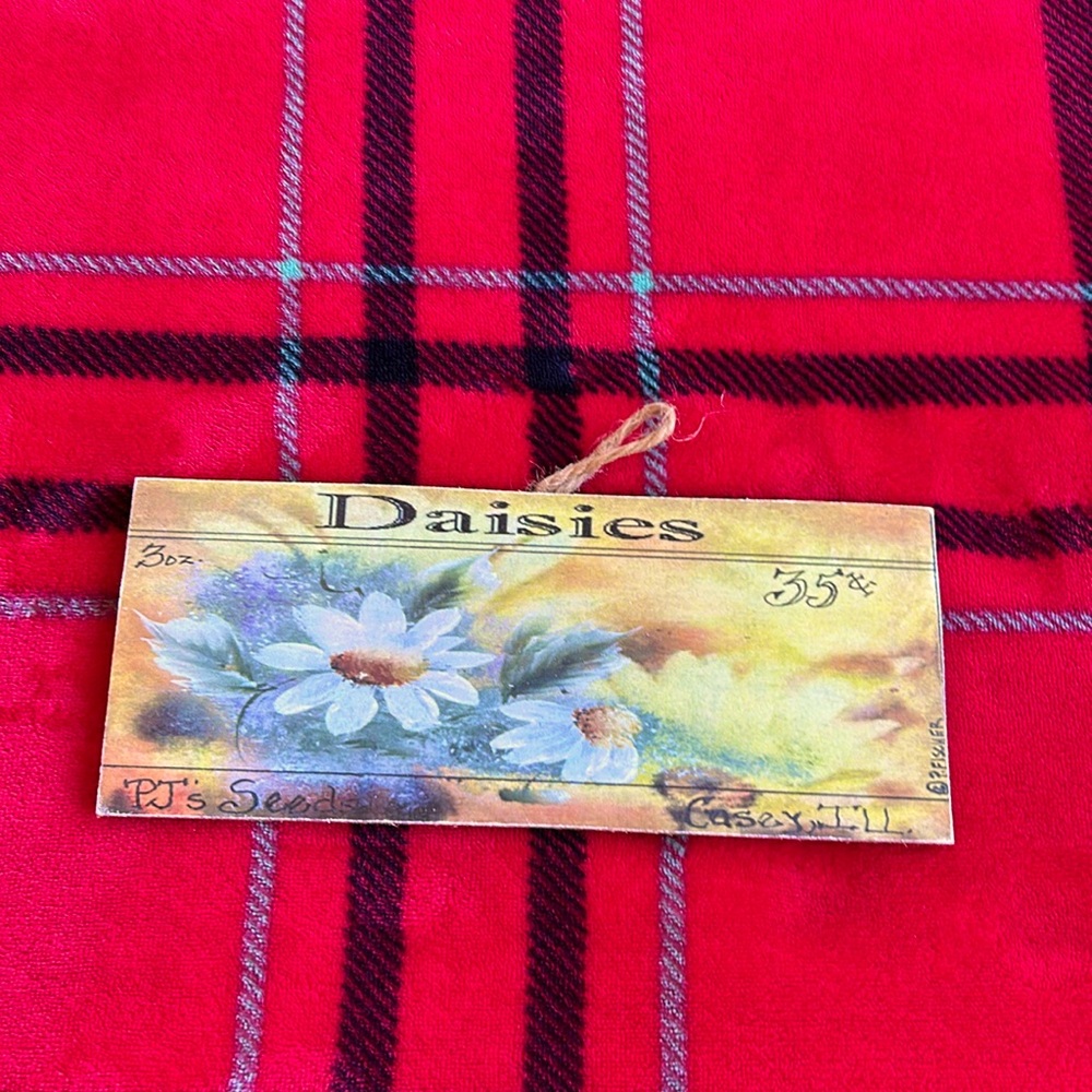 Daisies small wall hanging sign.